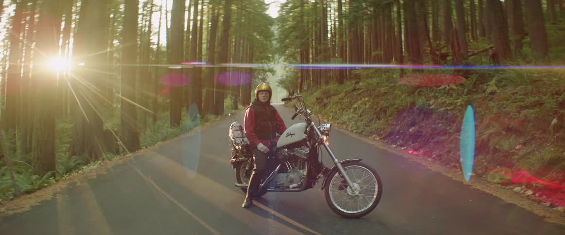 A person on a motorcycle in the middle of the road among tall trees
