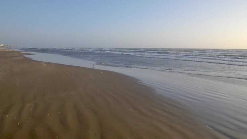 Birds lifting off from a beach as waves roll onshore