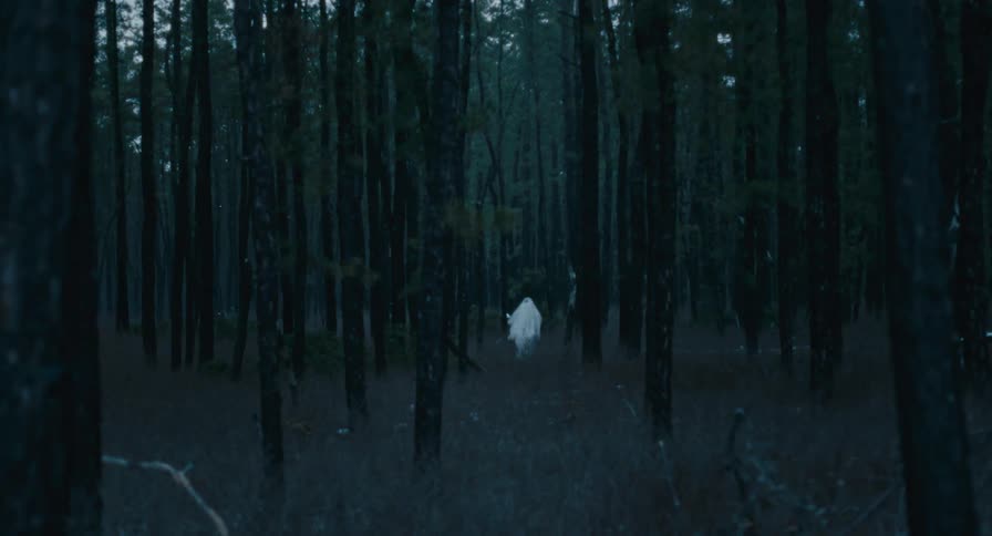 A ghost walks through woods on foggy day