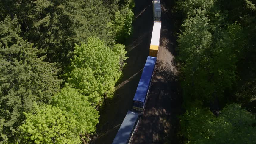 A double stack container train travels through dense woods