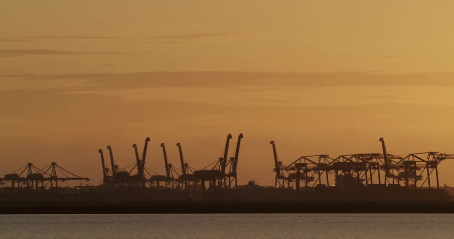 The silhouette of several cranes at a port against a golden sky