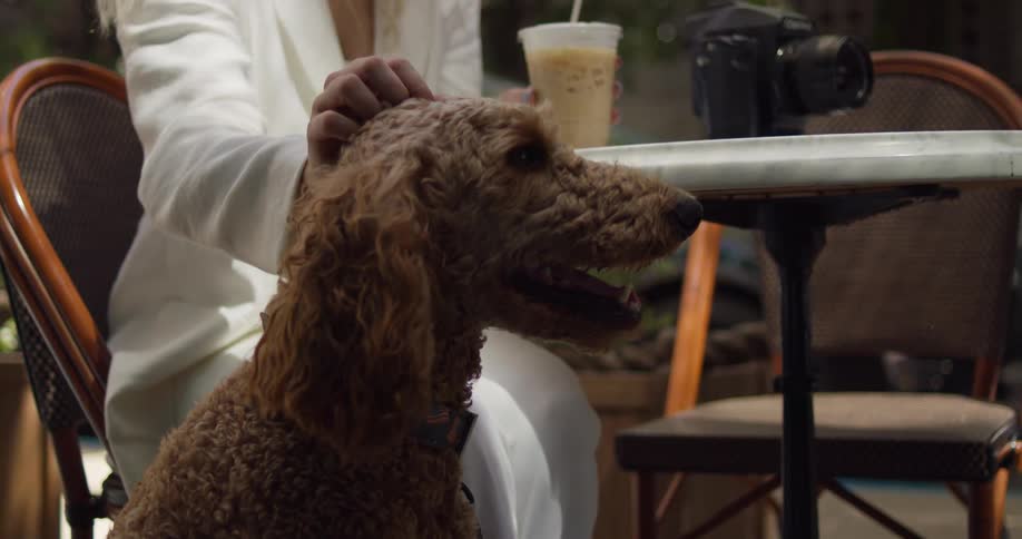 Woman petting her dog while having a drink in her hand