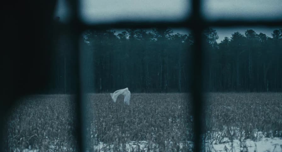 A ghost travels through a wooden field