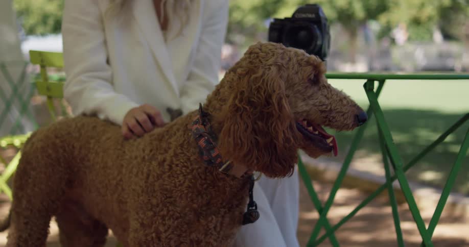 A woman wearing a white suit sitting outside petting her standard poodle