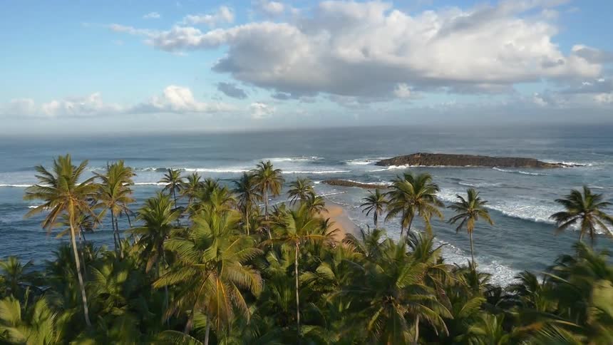 Waves roll onto a tropical beach