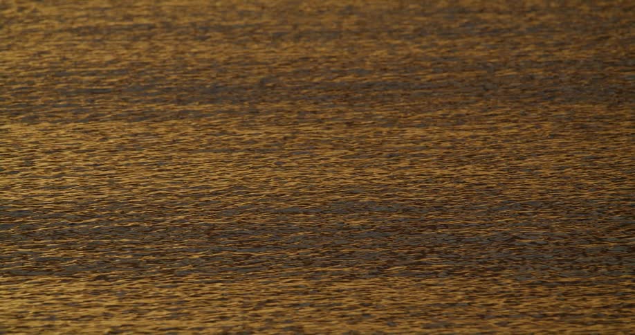 Sunlight reflected onto ocean waves creates a scene of flowing amber water