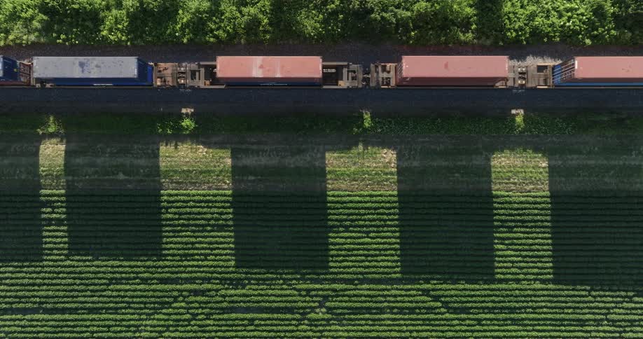 Colorful containers of an intermodal freight train cast long shadows across rows in field