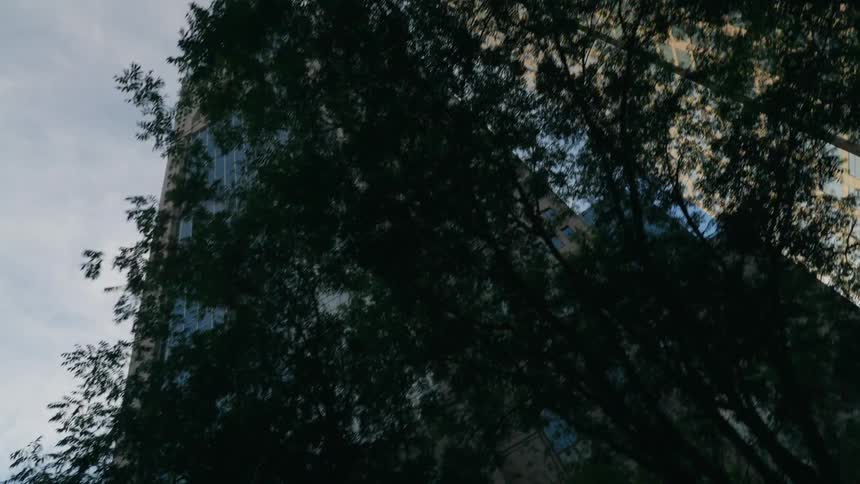 Tall skyscraper towering over trees reflects the sky
