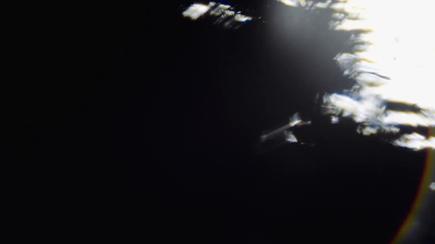 Black streaks branch out and move from a dark area as they spread across the white surface