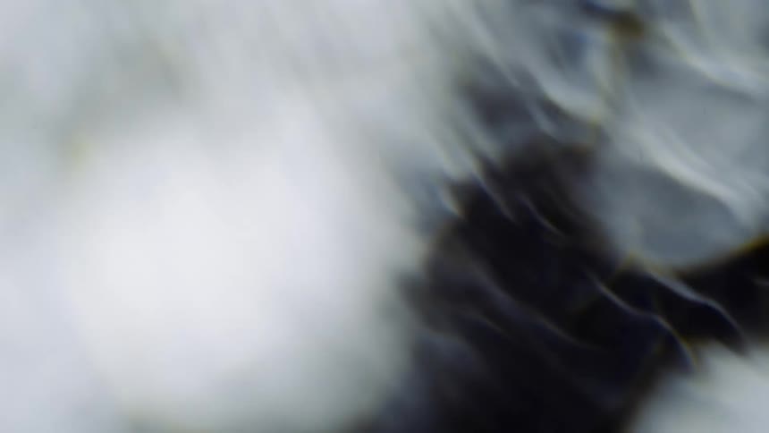 Body of abstract gray liquid texture