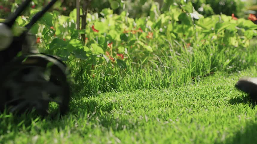 A person uses a lawn mower to cut grass during the day