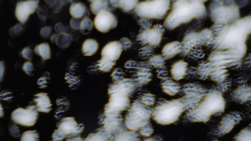 A black and white textured surface