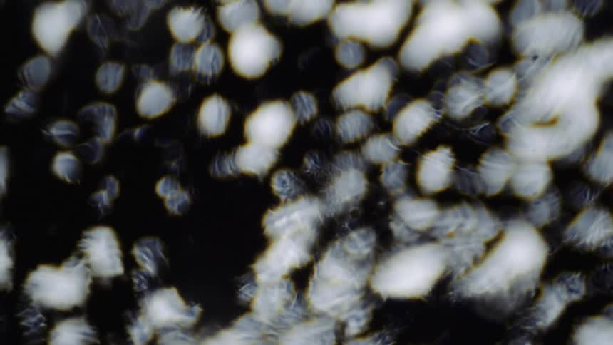A clear substance ripples as it moves over illuminated white objects