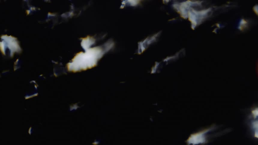 Blurry out of focus footage of the silhouette of tree branches waving in the wind
