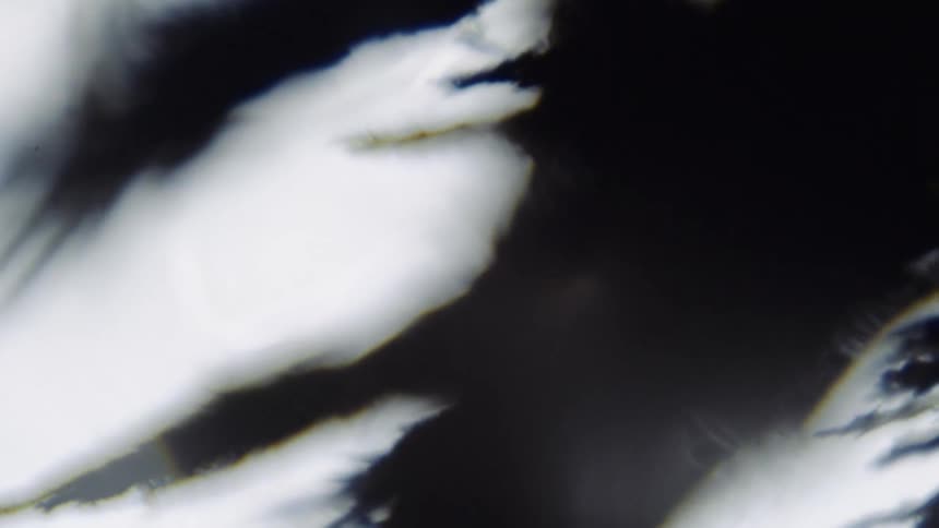 Blurry out of focus footage of the silhouette of tree branches waving in the wind