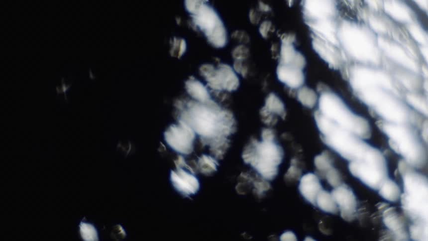 Blurry out of focus footage of the silhouette of tree branches waving in the wind