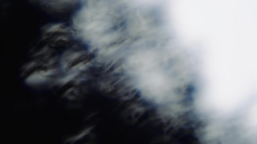 Blurry out of focus footage of the silhouette of tree branches waving in the wind