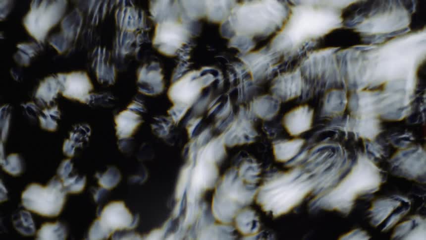 The water moves over the black and white