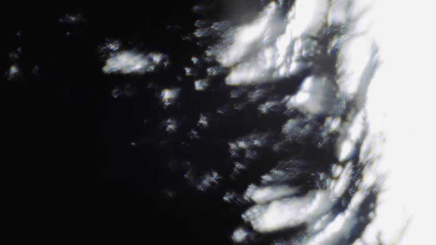 Blurry out of focus footage of the silhouette of tree branches waving in the wind