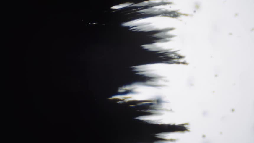 A black substance is branching out as it stretches across the white area and absorbs a moving orb