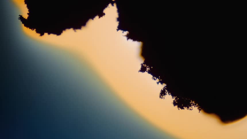 An up close of a black vegetation substance surrounded by orange