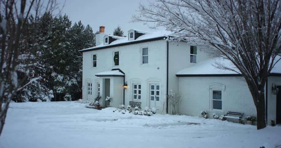 Snow covers trees and bushes around a big white house on a winter day