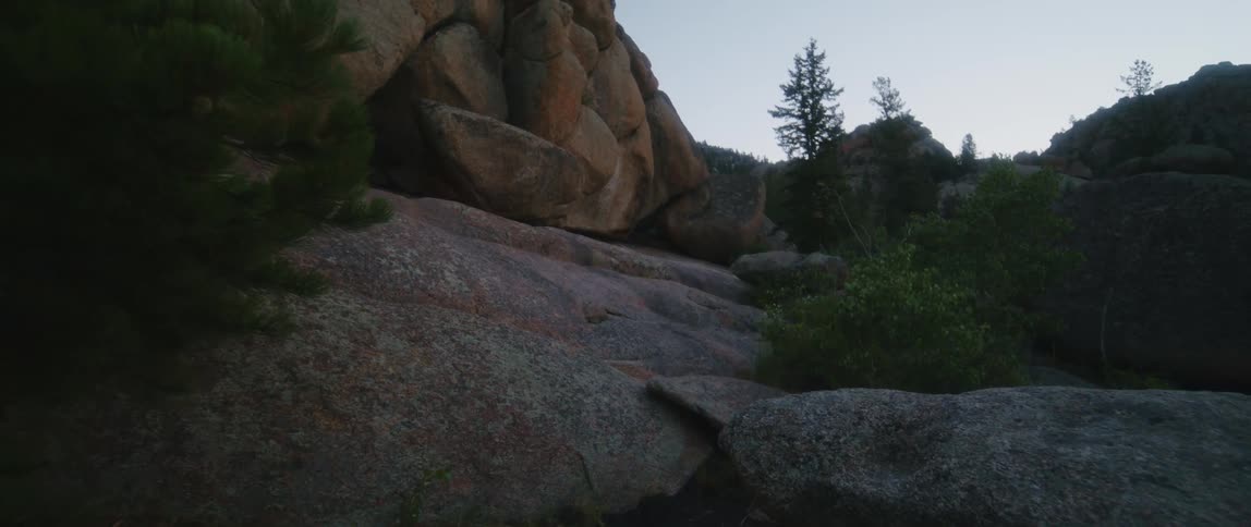Bushes and plants create a natural path through a canyon