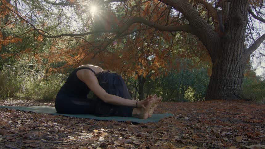 A woman stretches as she does yoga in a forest