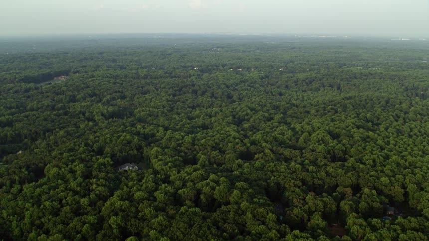 Aerial footage of rural homes hidden within a dense green forest during sunset in Clifton Virginia