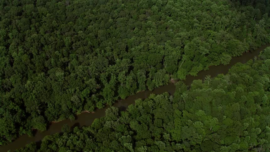 Tilting aerial footage in Clifton Virginia showcasing the Bull Run River meandering through a deciduous forest in spring or summer