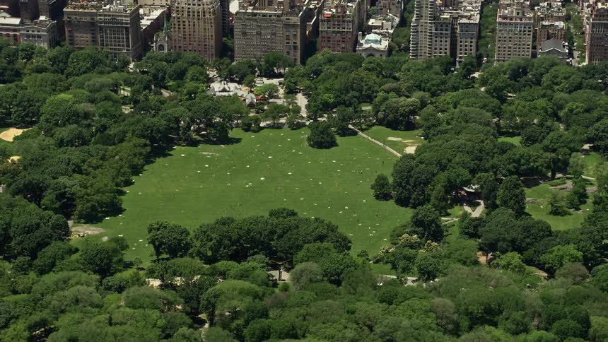 Aerial view of Sheep Meadow in Central Park during a sunny summer day with people walking and enjoying the park