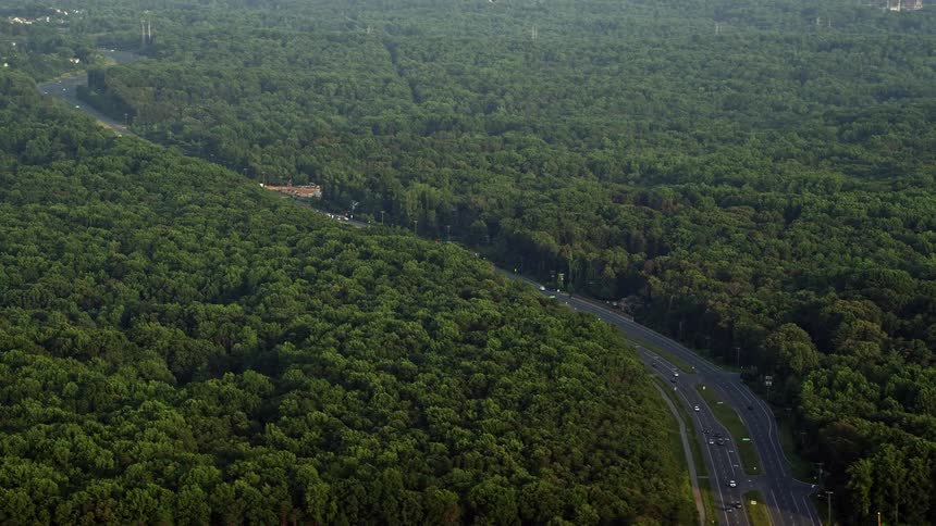Aerial view of cars driving on a forest road through dense deciduous forest during sunset in Fairfax Station Virginia