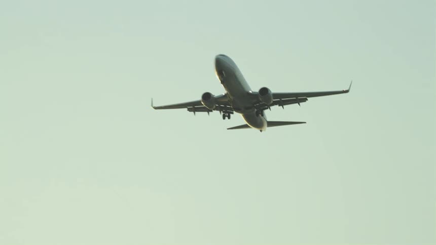 A commercial airliner flies overhead with landing gear down during sunset in Washington DC