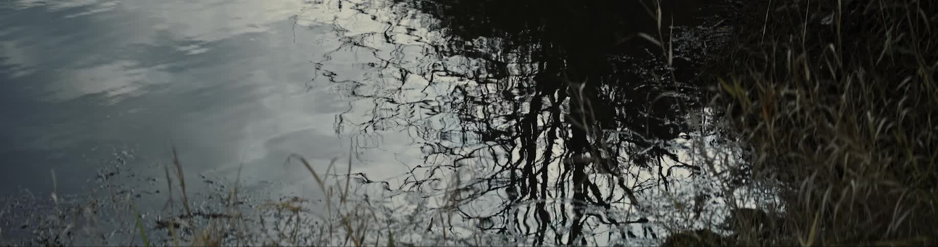 Reflection of plants off of slowly rippling water