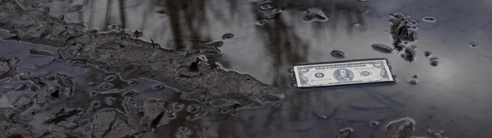 Someone holding a camera at a dollar the camera becomes focused after a period of time
