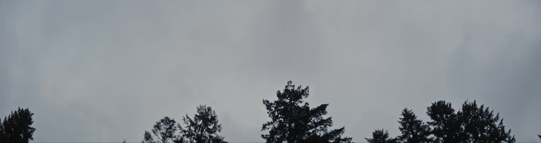 Tree tops come into view against a cloudy sky