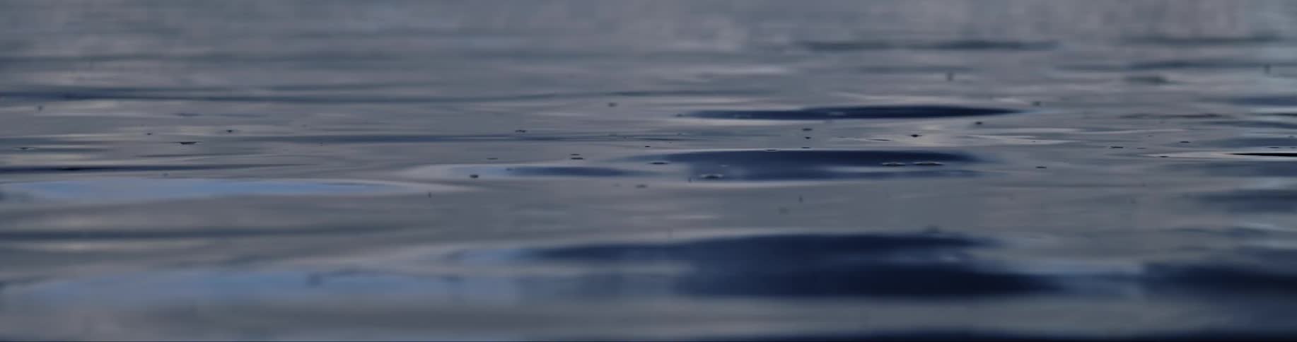 Small waves and ripples on the surface of a body of water