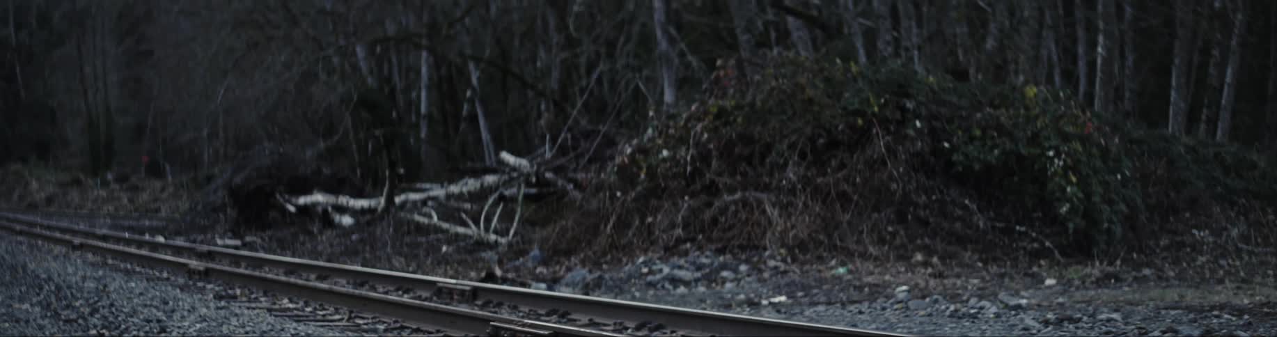 Railroad tracks are lined up over gravel near a forest of trees