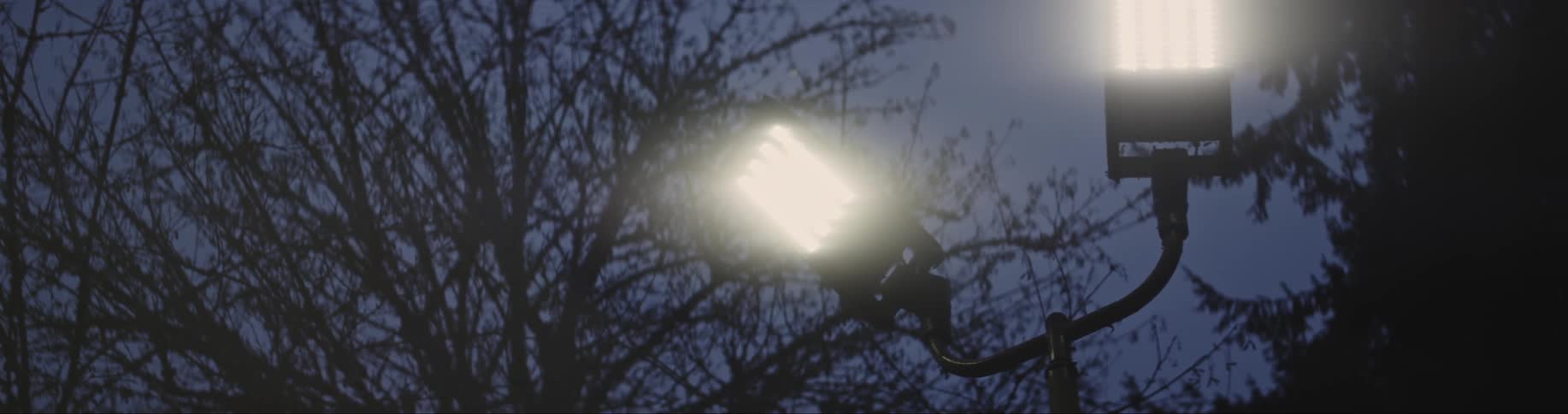 Lights on a post near trees shine brightly as it gets dark outside