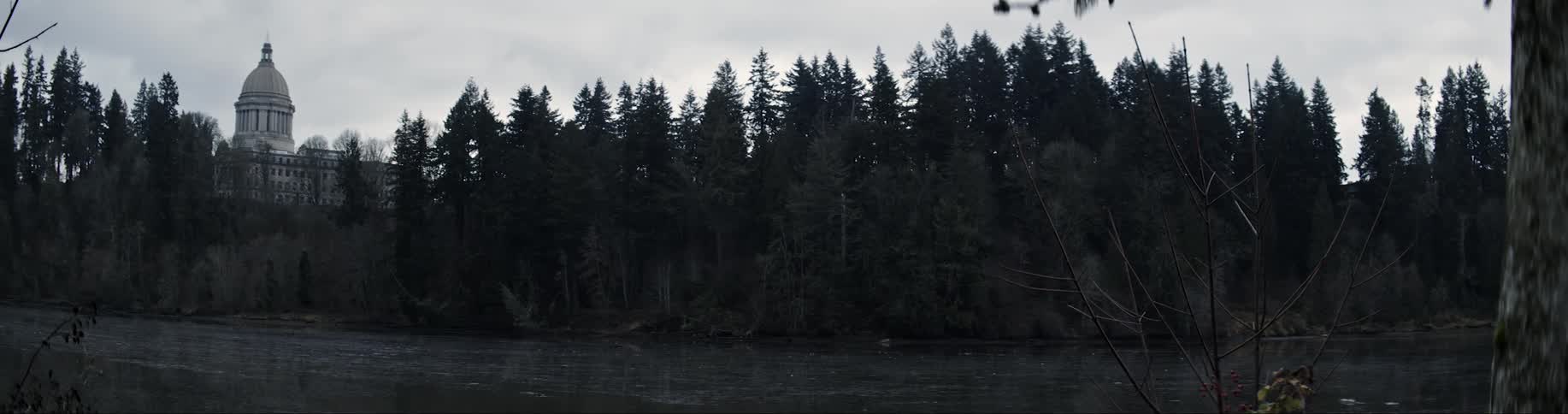 A dark forest silhouette with a building in the far distance