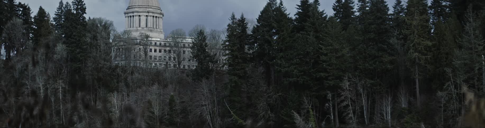 Forest surrounds historic building with columns