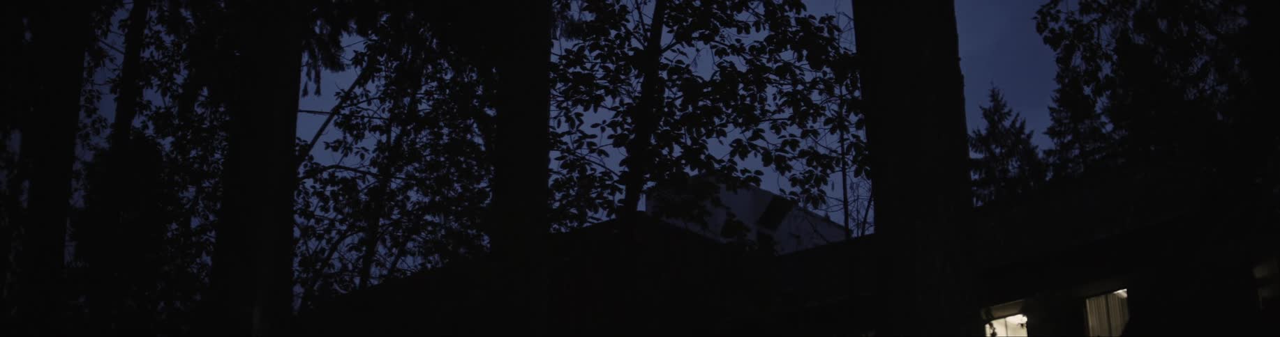 Reveal shot of the camera slowly going lower to reveal a house