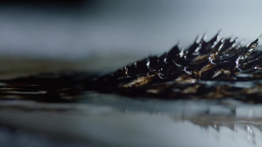 Magnetic particles rise to form spikes
