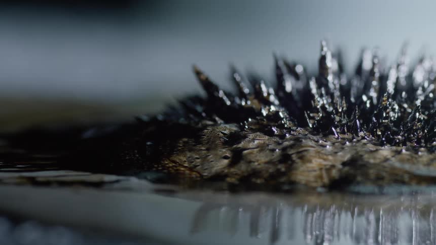 Magnetic shards rise up to form metallic spikes