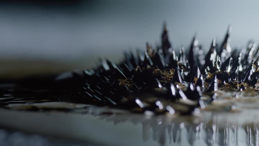 Shiny silver spikes rise from an organic substance near water and grow as they move across the surface as if they are alive