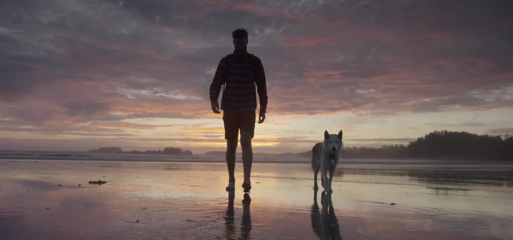 A man and his dog walk along the beach at sunset