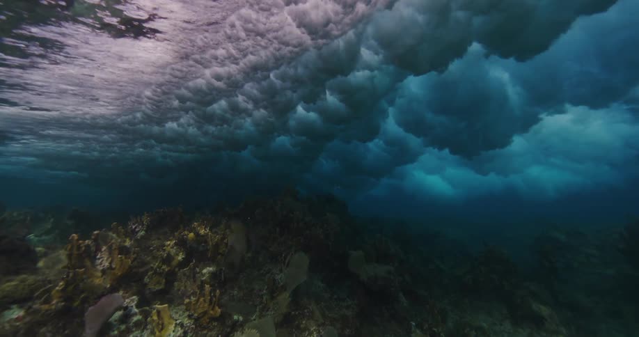 A view of the ocean floor is displayed