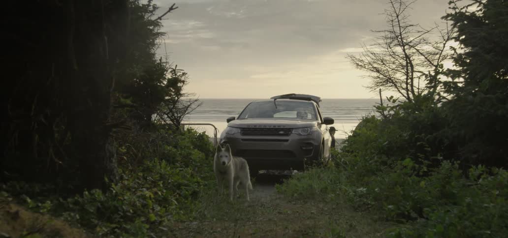 A dog stands in front of an suv parked at a beach
