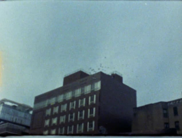 A flock of birds flying over a building on an overcast day
