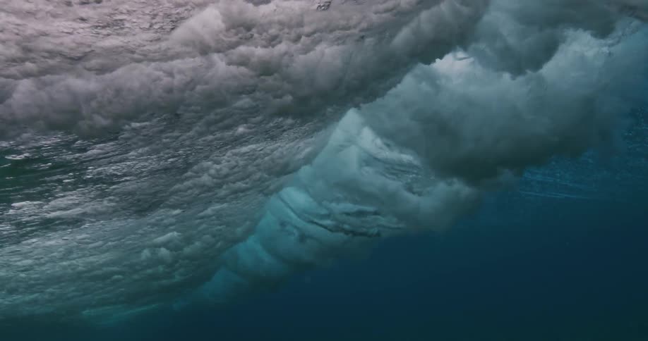 Fish swim along the seabed as a wave rolls over the surface above